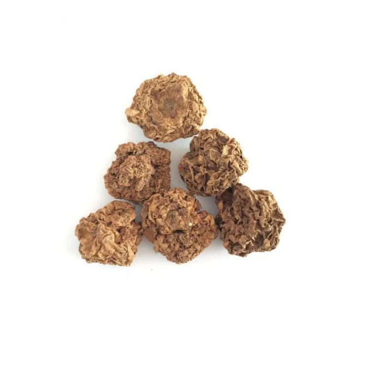 Wholesale bulk Japanese Catnip cat toy dried Fruits Organic Actinidia polygama Matatabi Silvervine Fruit