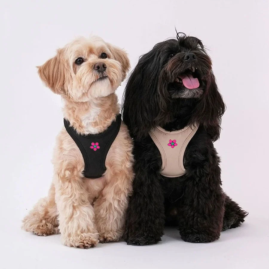 Custom Waterproof Nylon Pet Supplies Embroidery Logo Air Mesh Small Teddy Dogs Vest No Pull Adjustable Step in Cat Dog harness