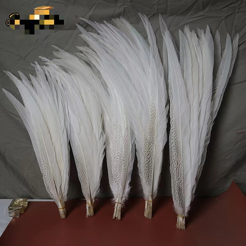 Carnival costumes party decoration Silver Pheasant Feather