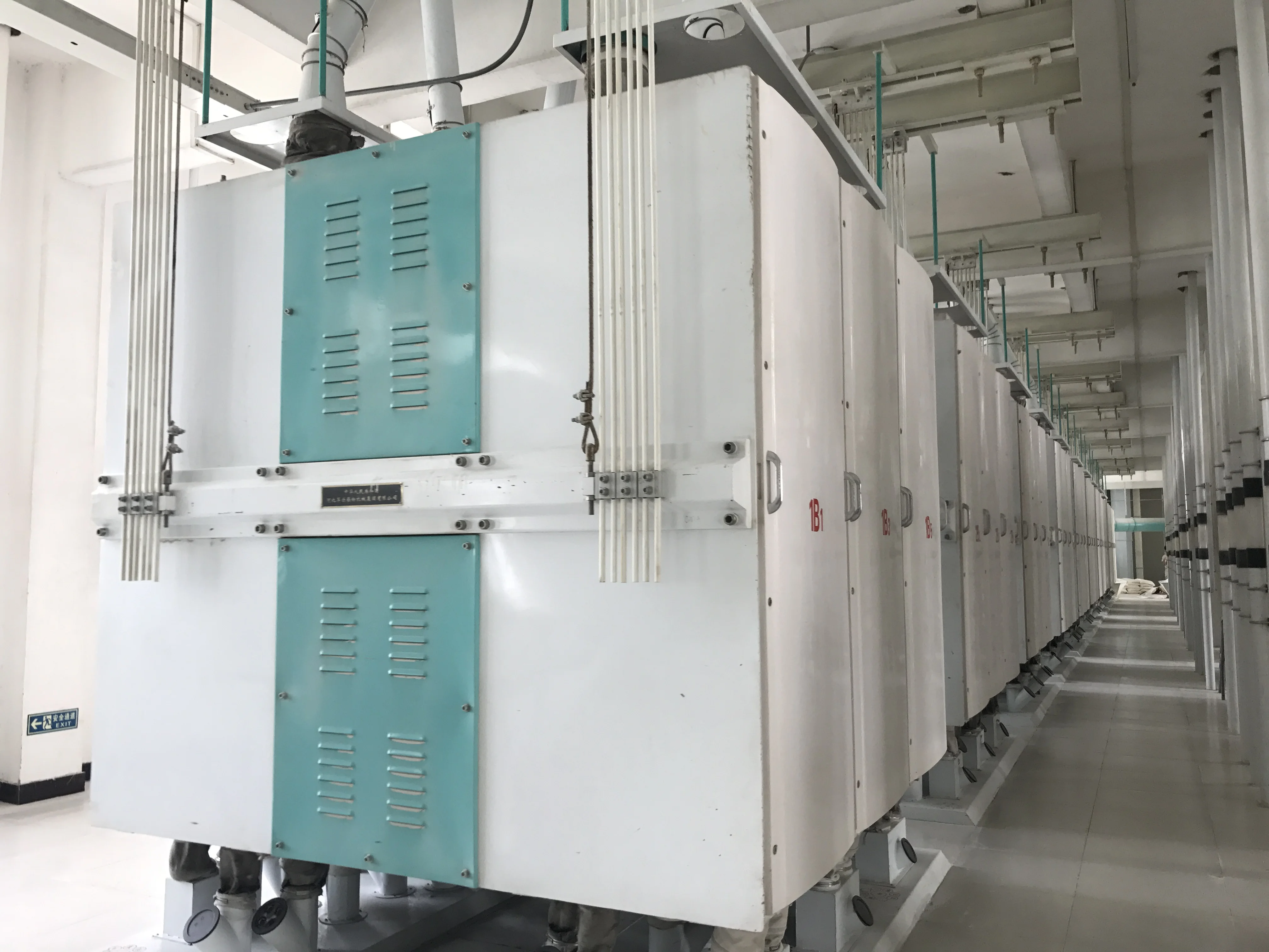flour and semolina mill plant