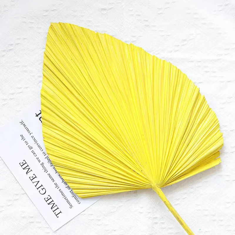 Сушеный веер для пальмы в классическом стиле свадебного