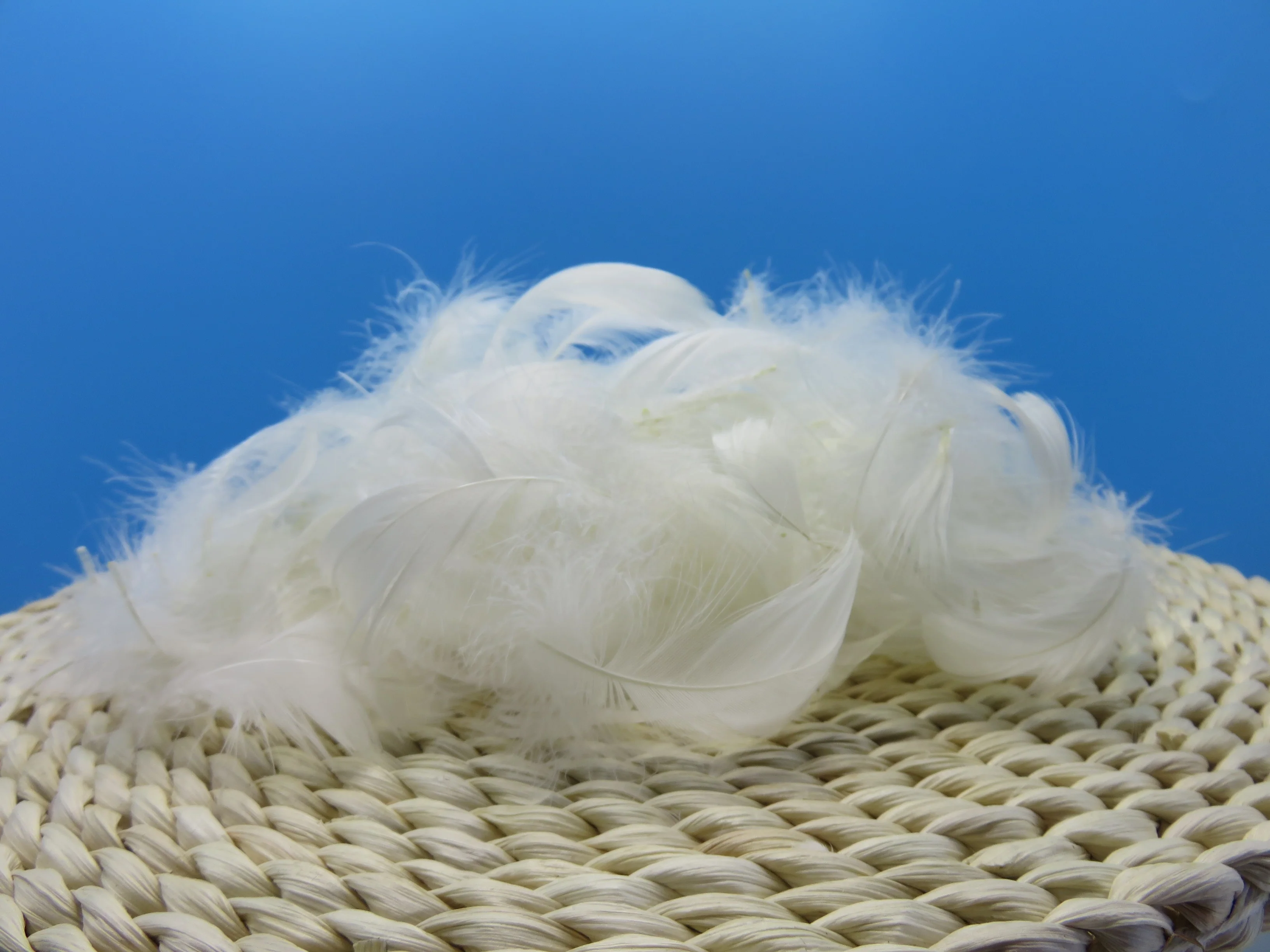 BOLONG High Quality 4-6cm White Goose Feathers Washed Pattern for Fly Tying & Garment Application