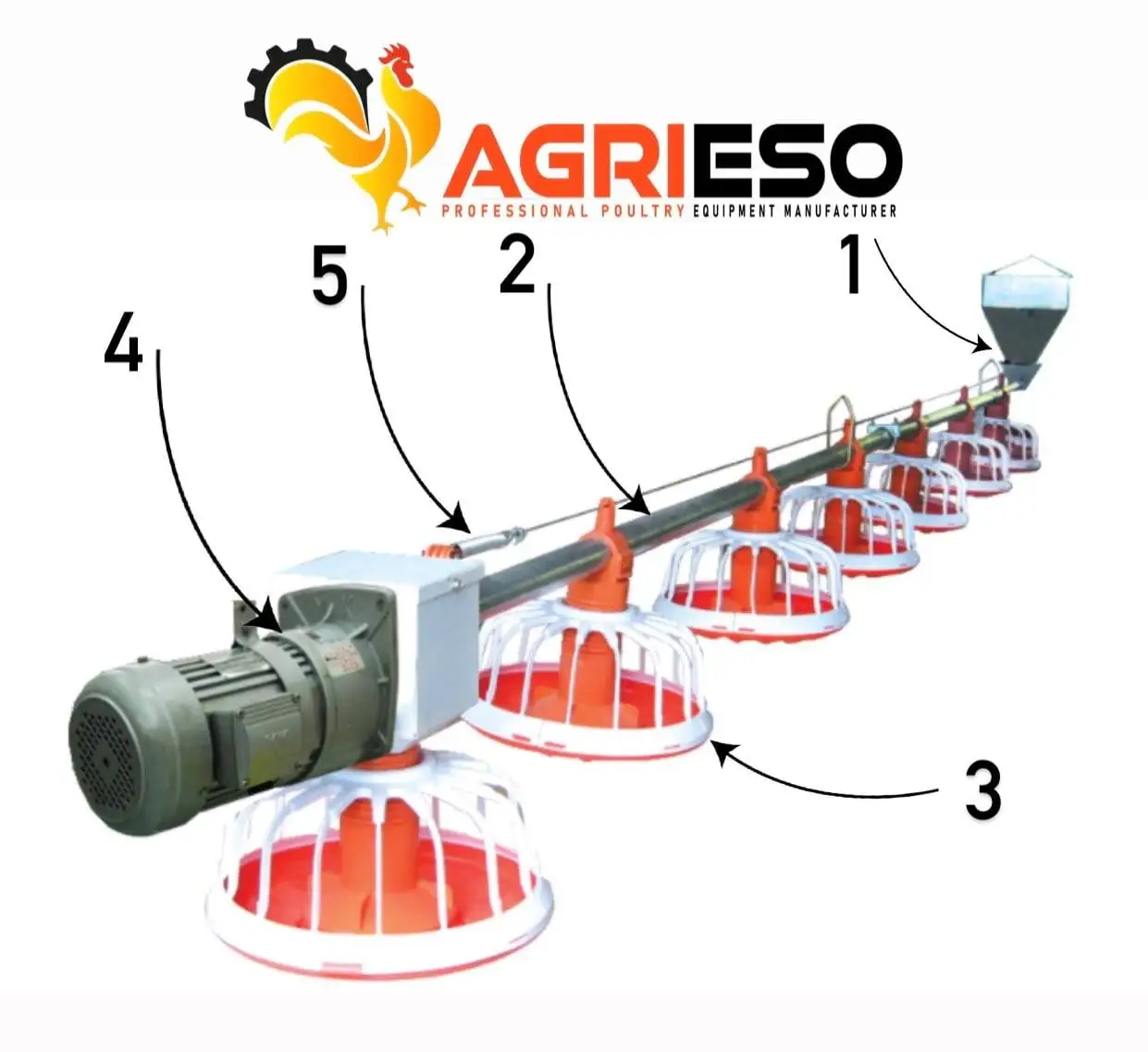 Agrieso Competitive Price Automatic Poultry Farming System Feeding Line Equipments For Broiler Layer Breeder Chicken Farm Use