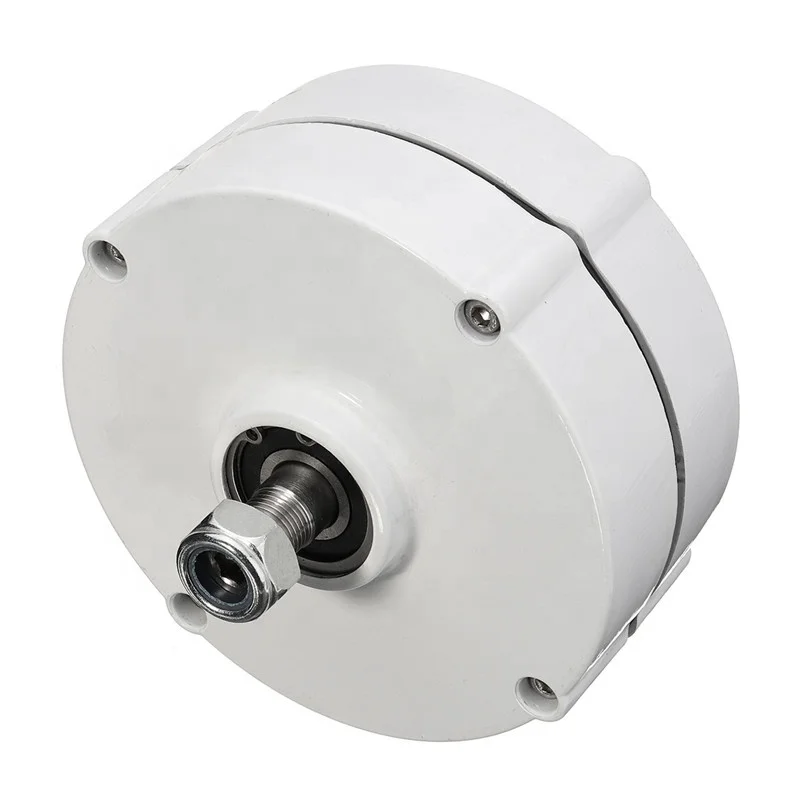 FLTXNY POWER LOW Speed 100W 200W 300w 400w 500w 12V 24V 3 Phase Gearless Permanent Magnet Generator AC Alternators Use