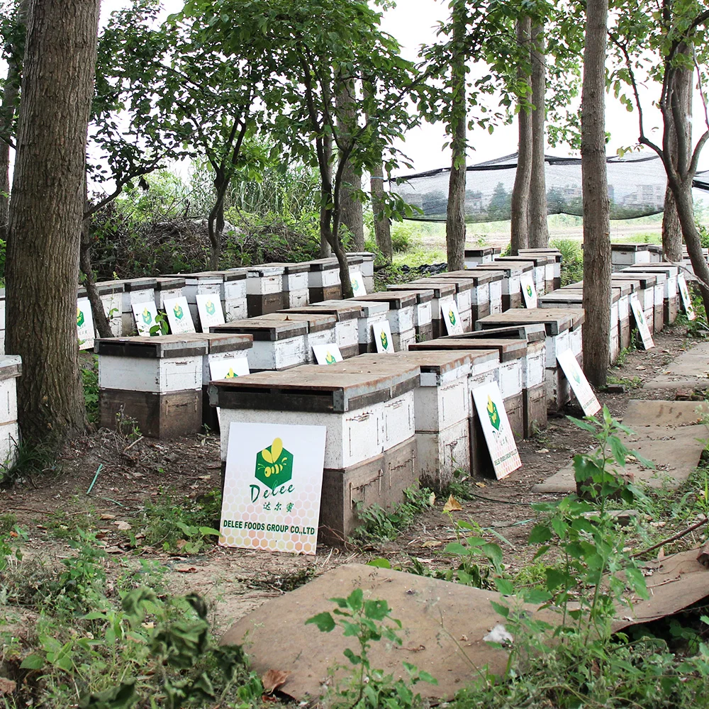 Factory Price Bulk Organic Mountain Raw Natural Honey Miel Amber Honey Jar Royal Honey Natural Flower Mason Jar Packaging 0.25