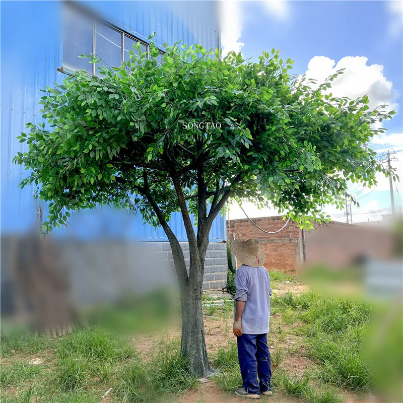 7ft to 20ft Large Artificial Ficus and Olive Tree Green Silk and Plastic Plant for Home Party Decorations and Events