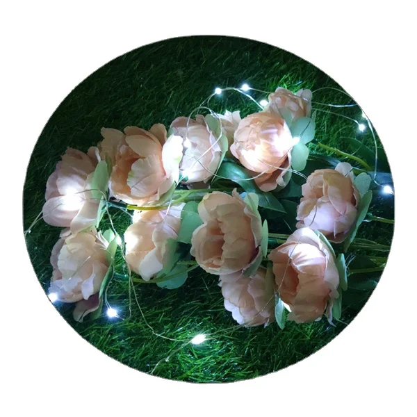  Wedding party Christmas lights decoration 2M20LED warm white fairy light string