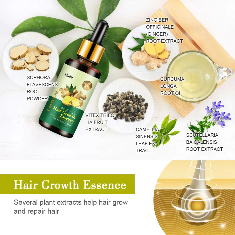 Natural Hair Regrowth Oil Hair Massage Oil Hair Refreshing Oil Hot Sale Balance  Control Product
