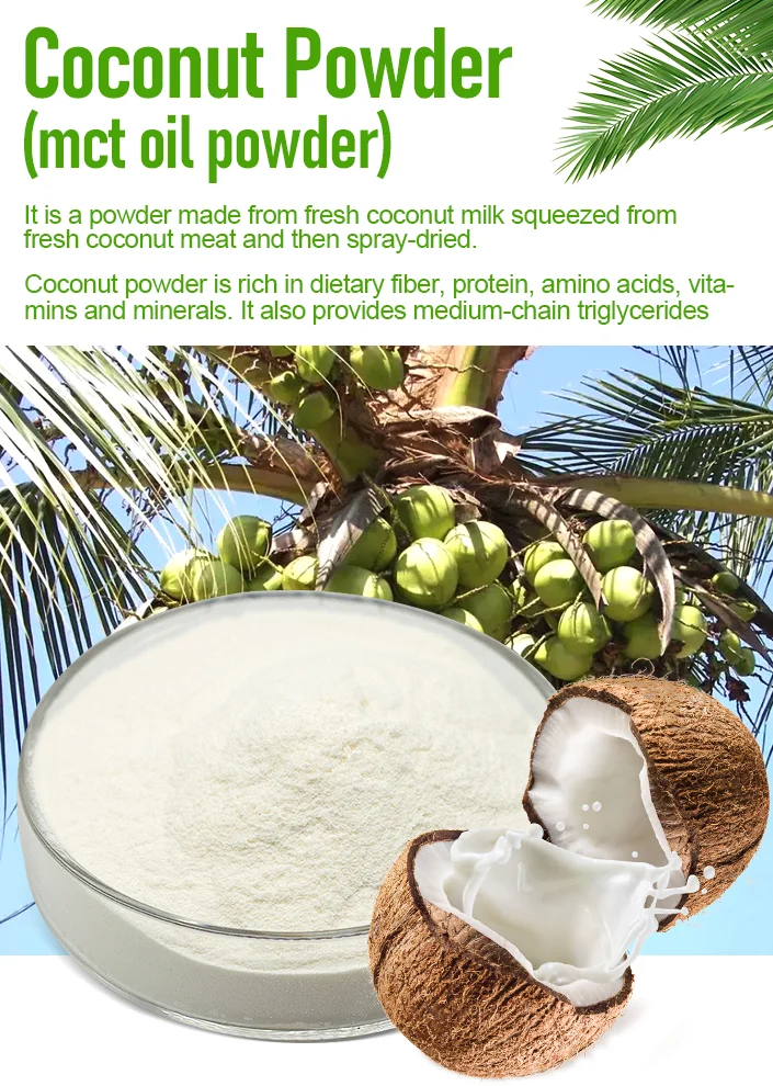 Hot selling MCT Coconut Oil Powder plant extract Bulk Pure 70% MCT Powder Organic MCT Oil Powder