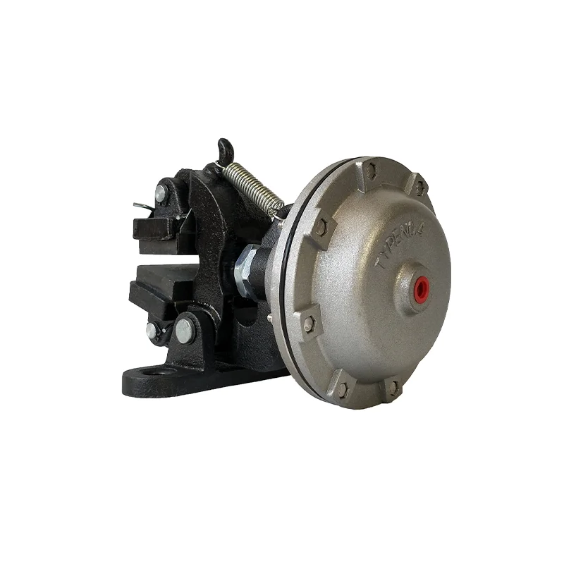 Factory Supply DBG Series 0.7Mpa Maximum Pressure Air Disc Pneumatic Brake