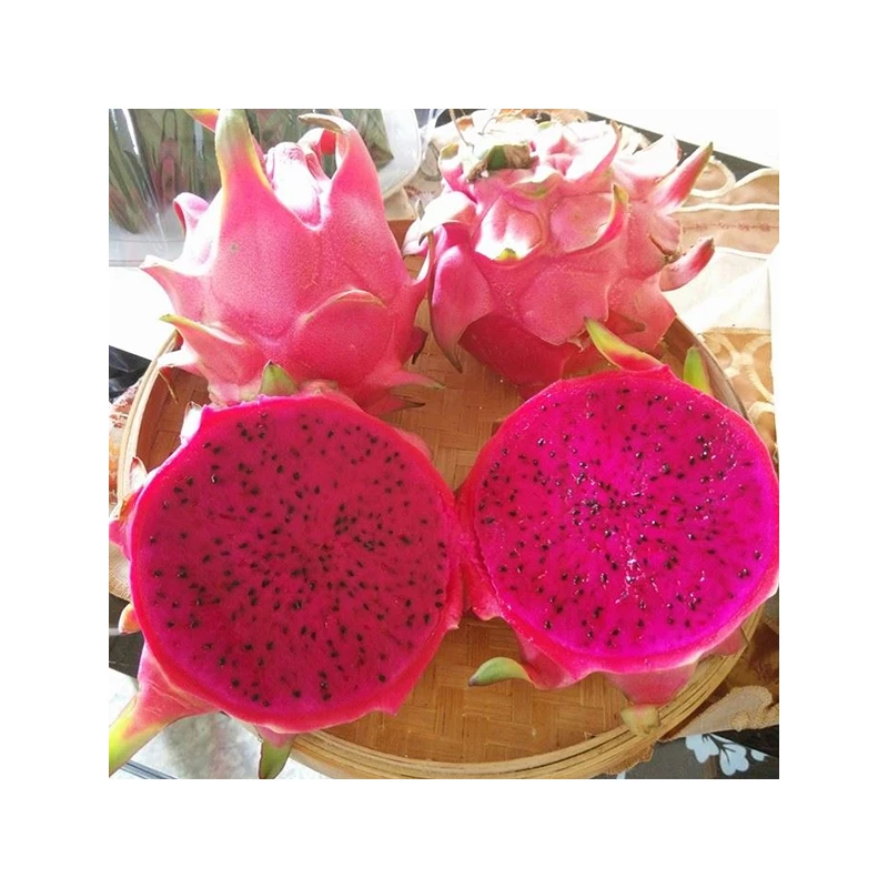 
Indonesia Organic Fresh Red Pitaya Fresh Red Dragon Fruit 