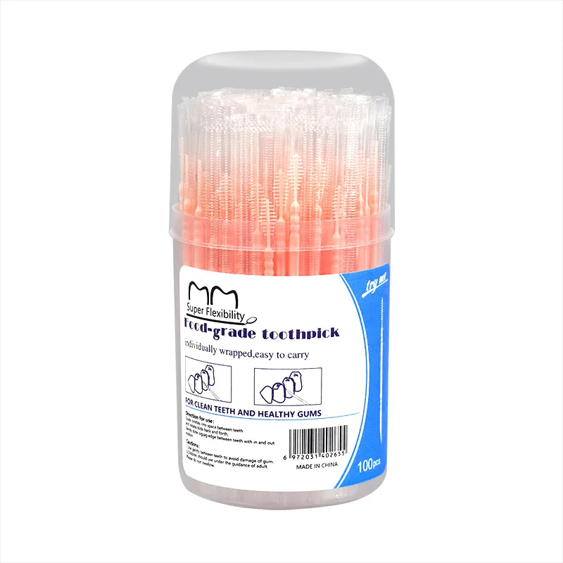 Disposable Fishbone Toothpicks 100 Individually Packaged Dental Flossers with Individual Bottle