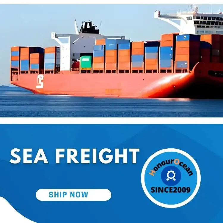 china top 10 freight forwarders international shipping  sea shipping agent china to Czech Republic
