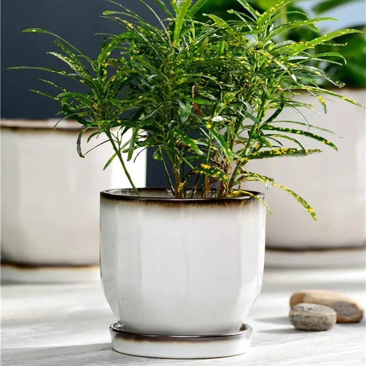 Hot Sales Elegant Outdoor New Designed Floor Vertical Garden White Ceramic Plant Pots