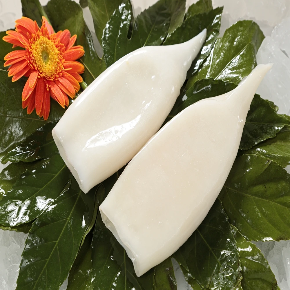 Squid dried from thailand