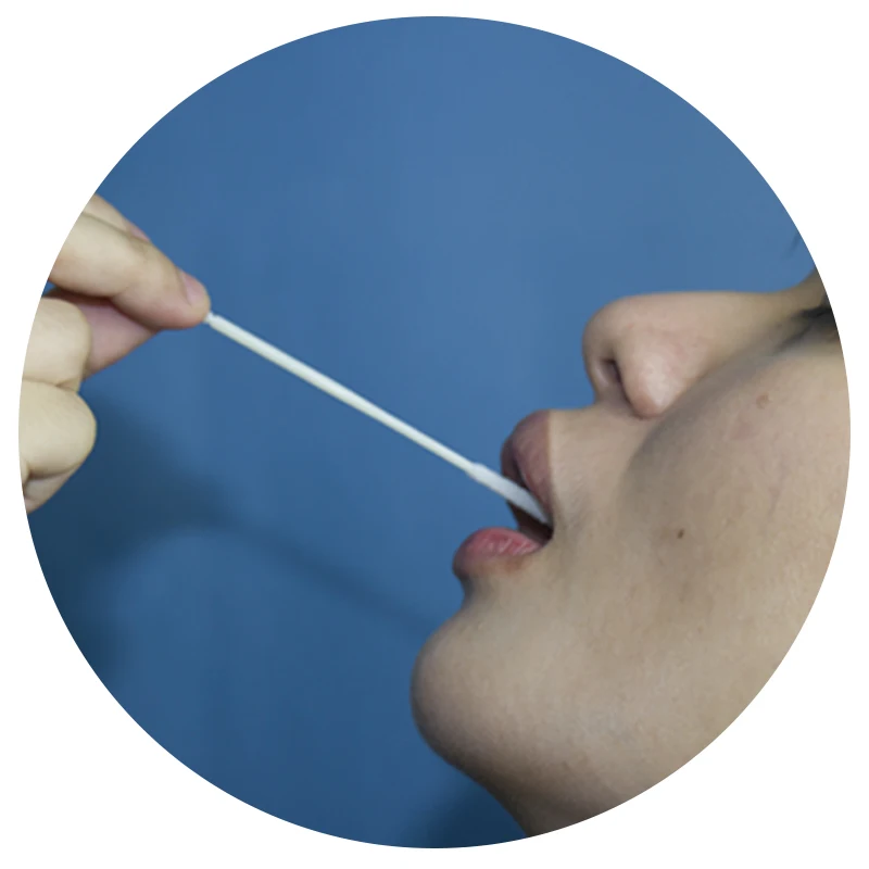 
Disposable virus testing collect transport nasopharyngeal swab test medical nasal sterile swab sticks 
