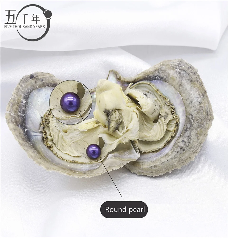 Wholesale 6-8mm colorful AAAA+ grade freshwater round pearl akoya oyster love wish Cultured saltwater oyster  in Vacuum-Packed