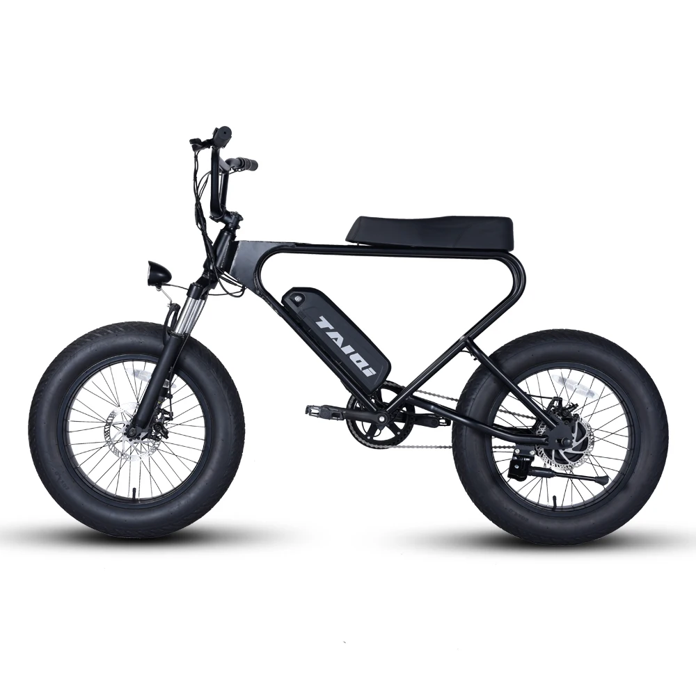 TAIQI DK200 2021 Fat Tire 48V 500w 750w 1000w lithium battery ebike model electric city Ebike  electric bicycle