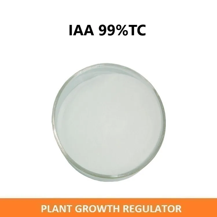 IAA auxin price heteroauxin indol-3-ylacetic acid 99%TC cytokinin cas 87-51-4 plant growth regulator auxin iaa