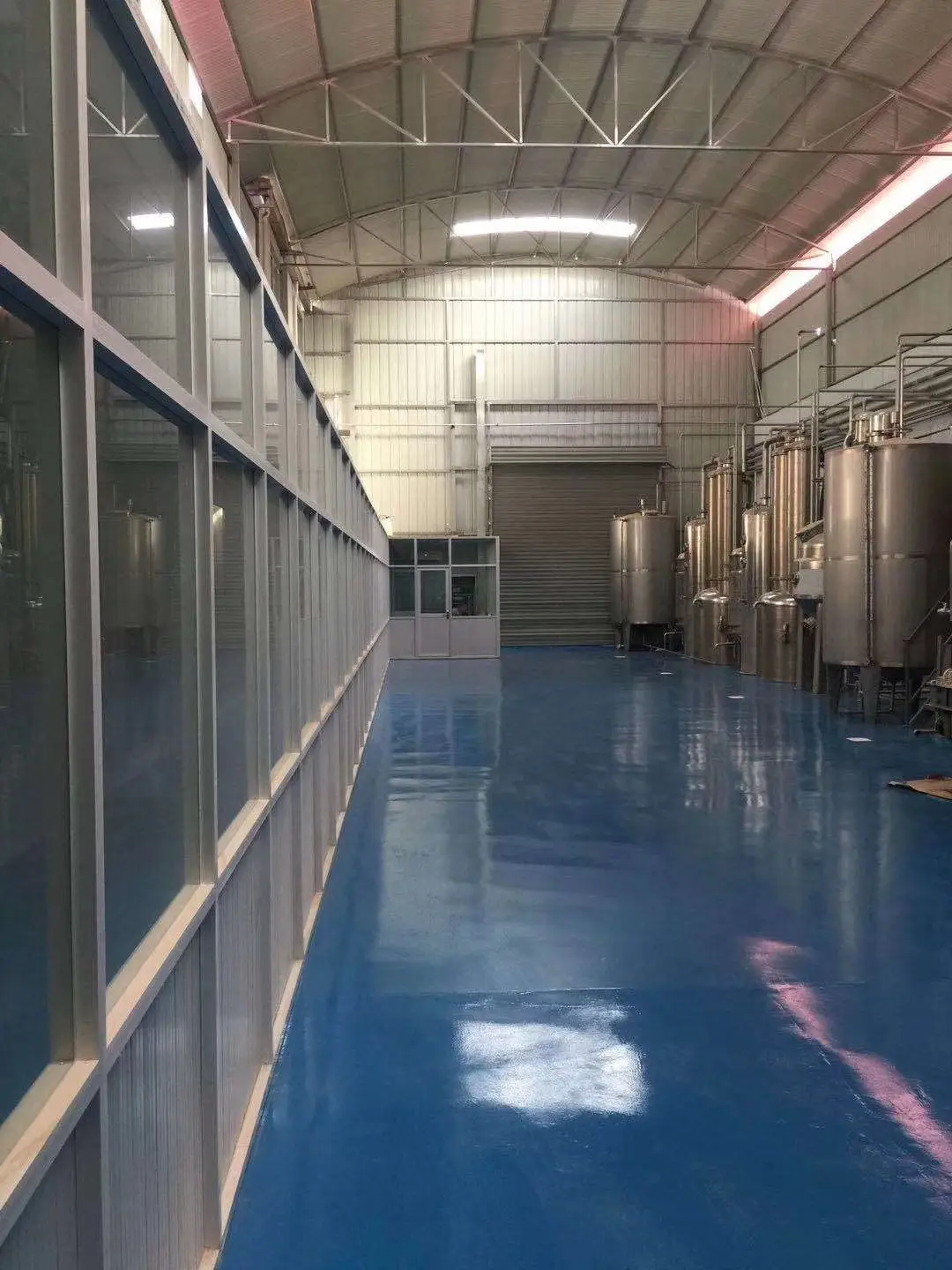 
Supply Food Grade Ganoderma Lucidum Extract Powder For Improve Immunity 