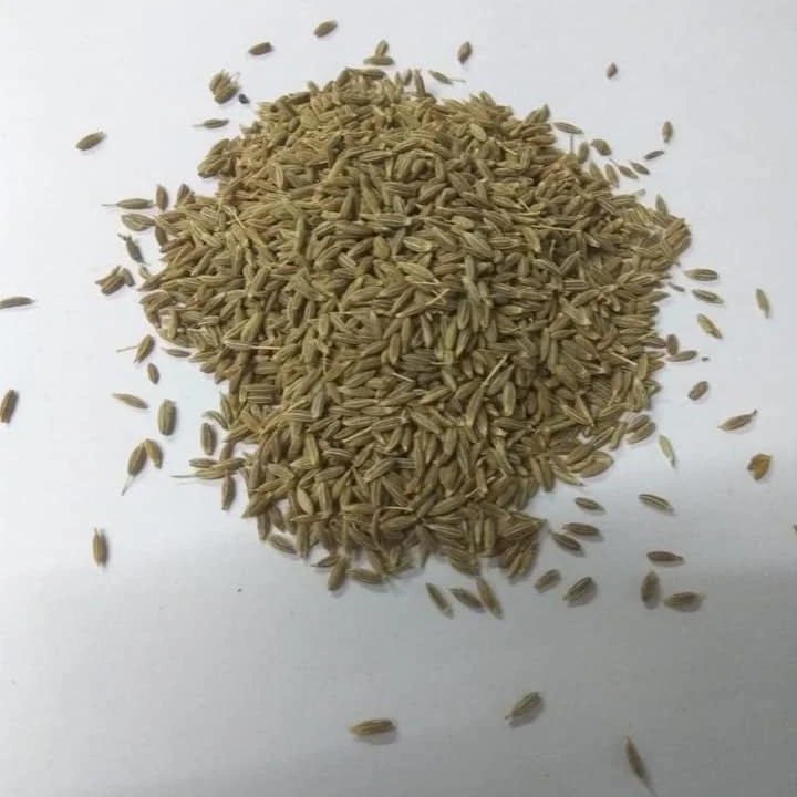 Семена кумина