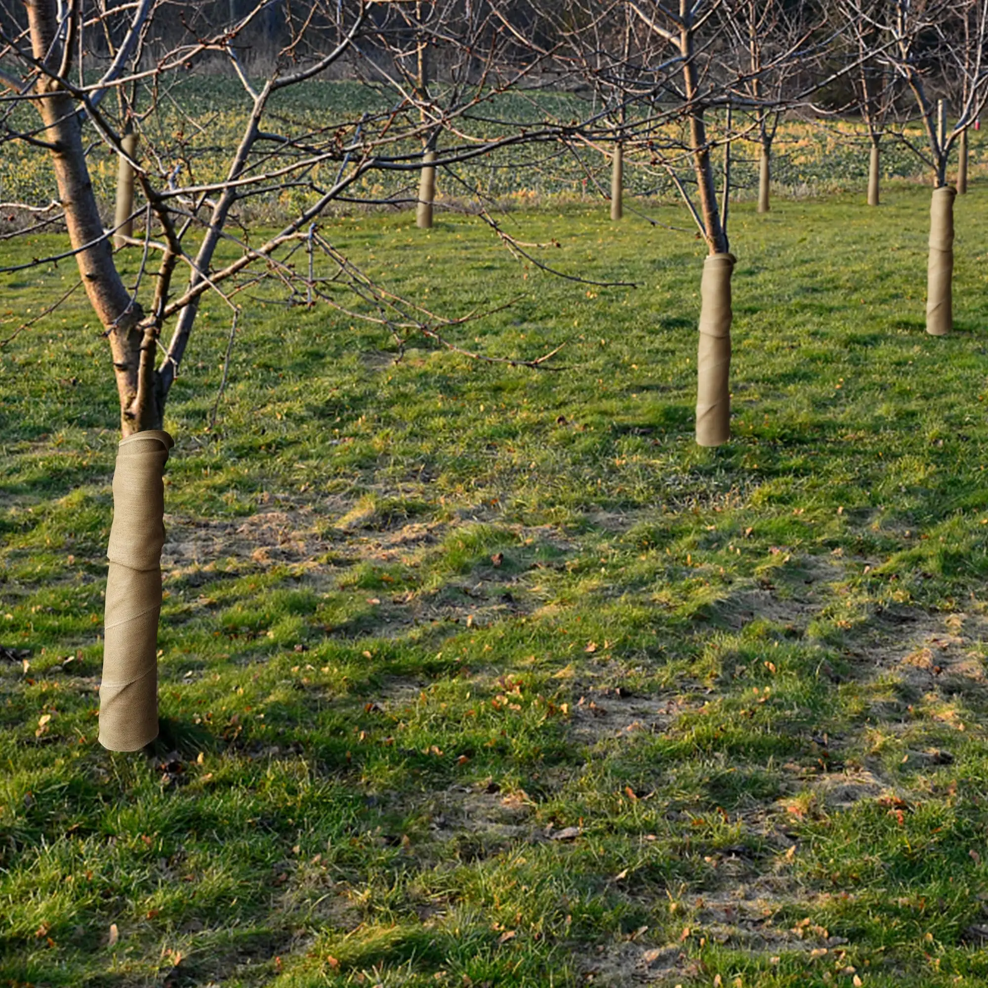 15.7in x 19.7ft Natural Burlap Fabric Tree Wrap Rolls Protection Cloth for Outdoor Trees Jute Fabric