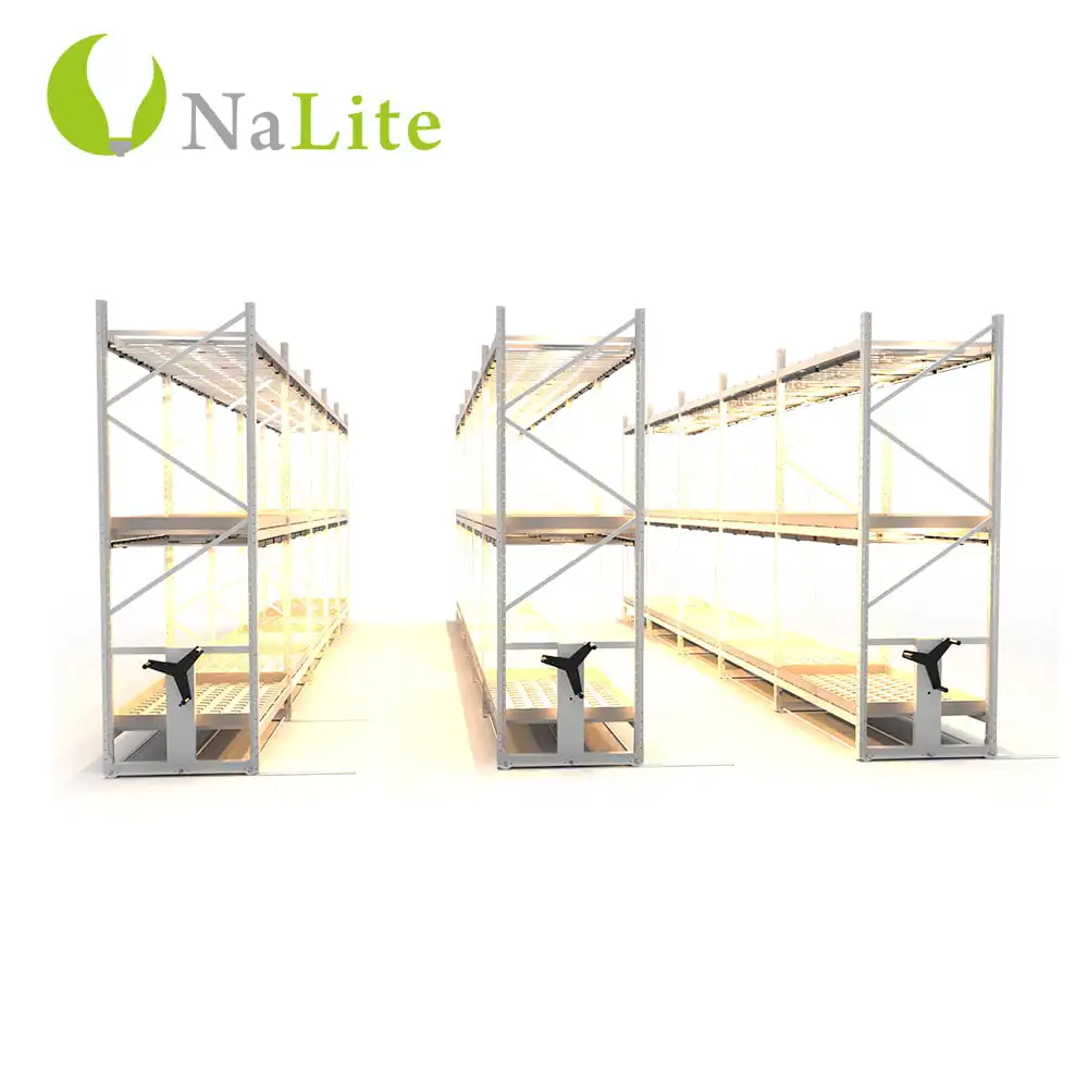2022 Agriculture 4*8 ft Multi-level 2 Tiers Vertical Grow Rack Systems Mobile Rack For Sale