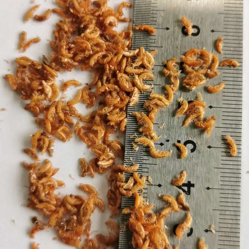 Gammarus turtle feed Brazilian turtle shrimp dry food Chinese grass turtle grain feed