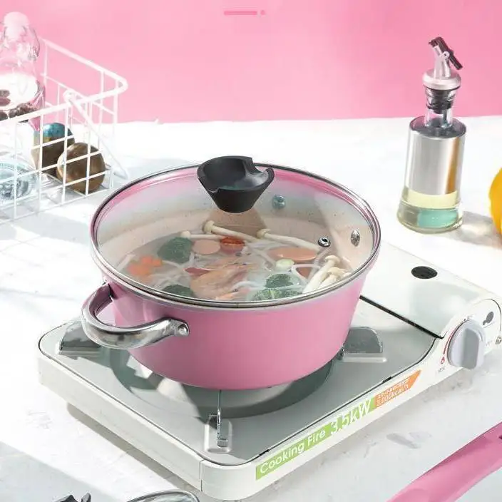 16/20/22/24/26/28/30/32 Cast Iron Non-stick Casserole Induction Bottom Kitchen Cookware Soup Pot