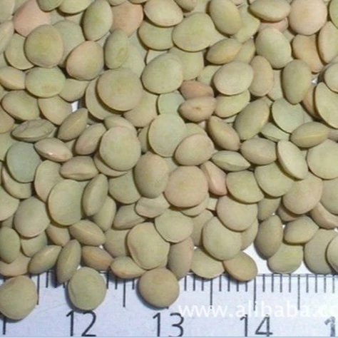 
Crop2020 price of Chinese Lentils 