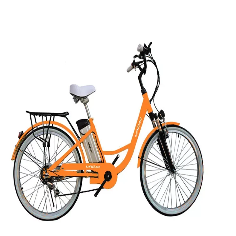 26 Inch Mountain E Bike Mtb E Bike Europe/best Electric Bike for Hills Standard 36V 250W Can Assemble in China and Europe