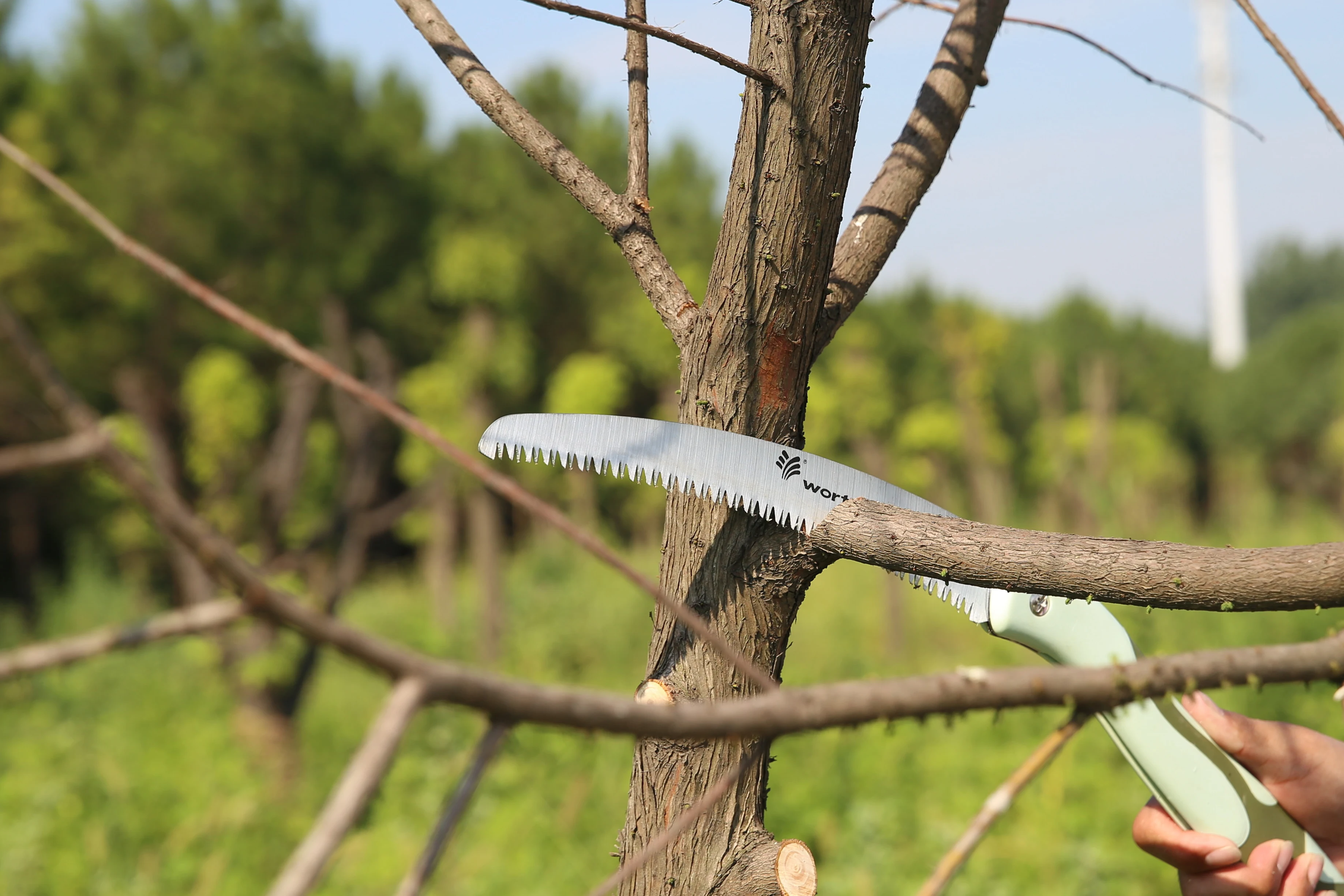 Heavy duty hard chrome plated surface 10 inch hand tree pruner saw