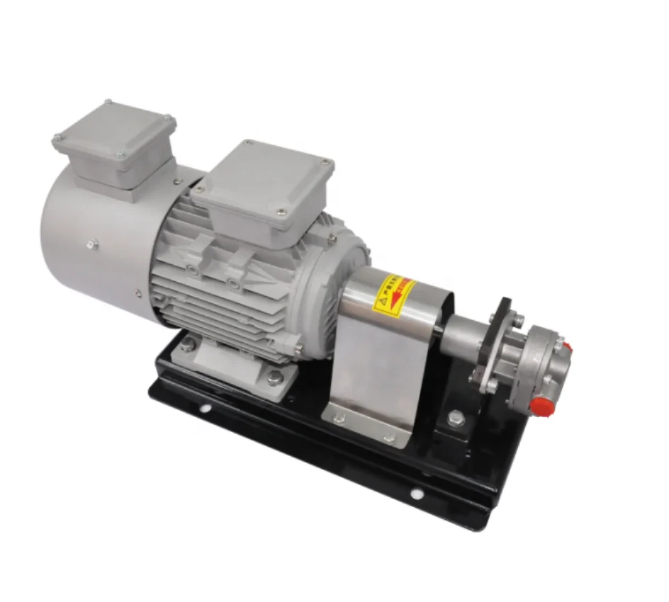 Made in china High quality low price gear metering pump use for filling machine