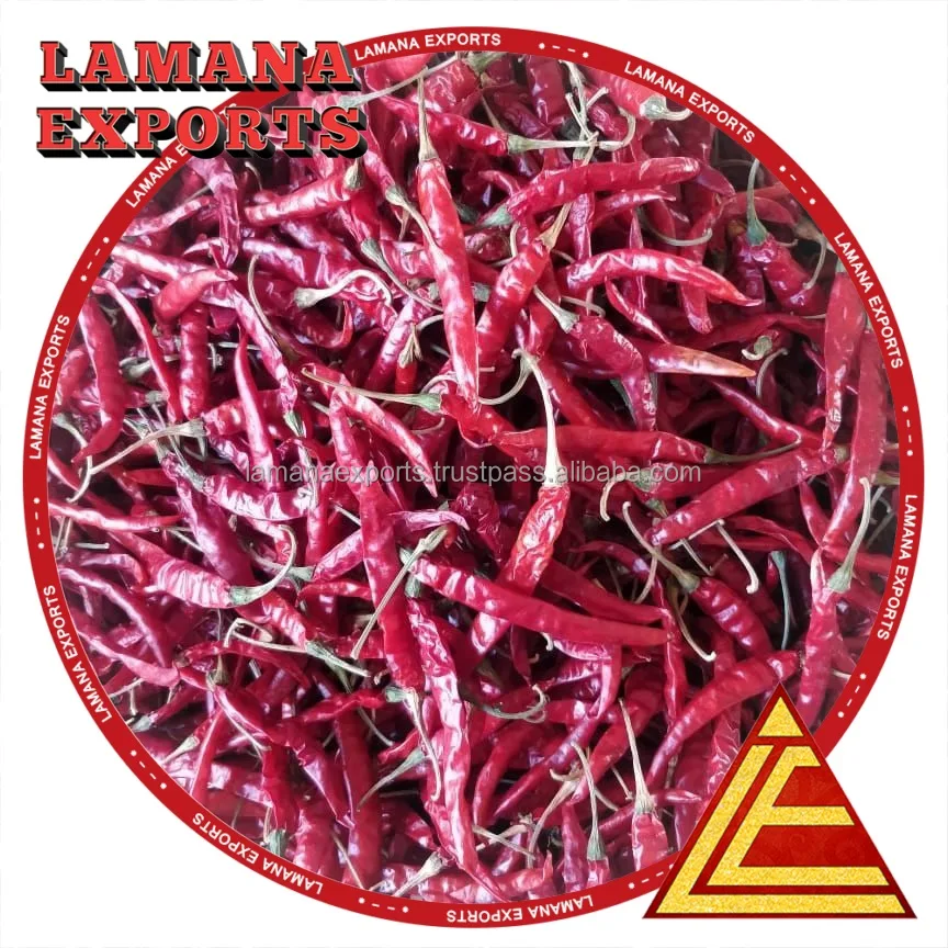 Chilli S17 Teja with Stem India Spicy Dry Red Chili Pepper Single Herbs & Spices New Crop - Dried Raw Stick 0.5% Max 3% Max 10%