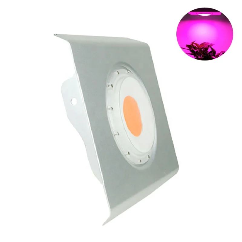 110V 120V 220V 50W High Waterproof IP67 Full Spectrum Medical  COB Led Plant Grow Light for indoor plants