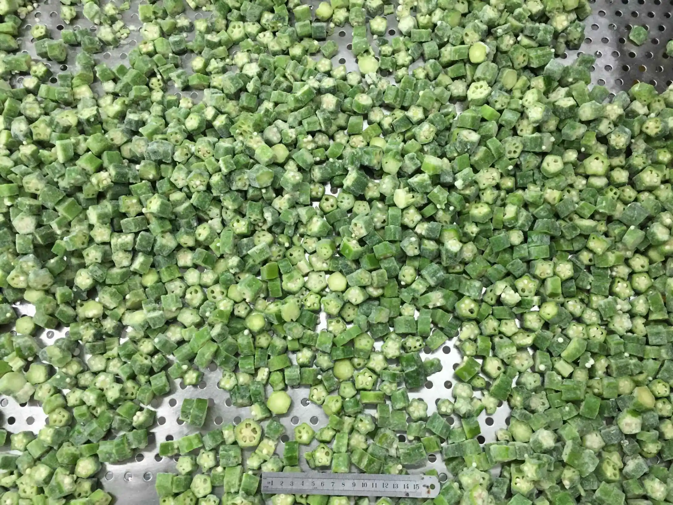 IQF Frozen Okra Cut Premium Quality Frozen Vegetables