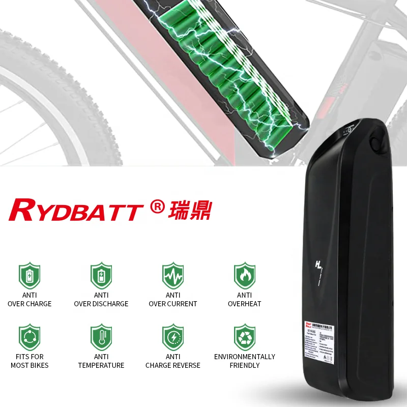 Customized Electric Bicycle 36v 48V 52V 10Ah 13Ah 16Ah HaiLong Battery