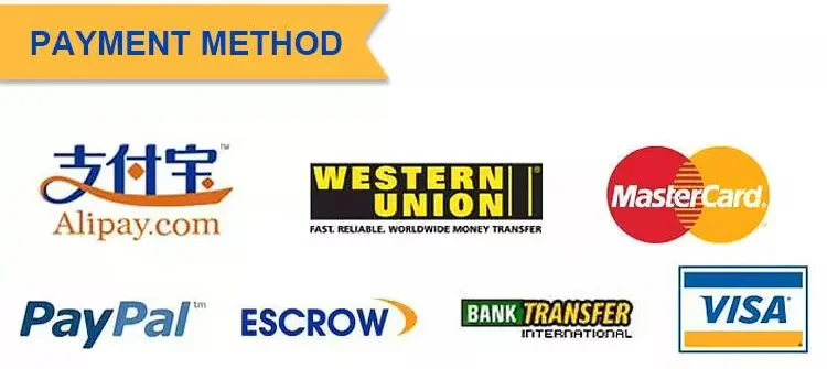 Forwarding Transport Provider DHL DDP International Agent Logistic Services