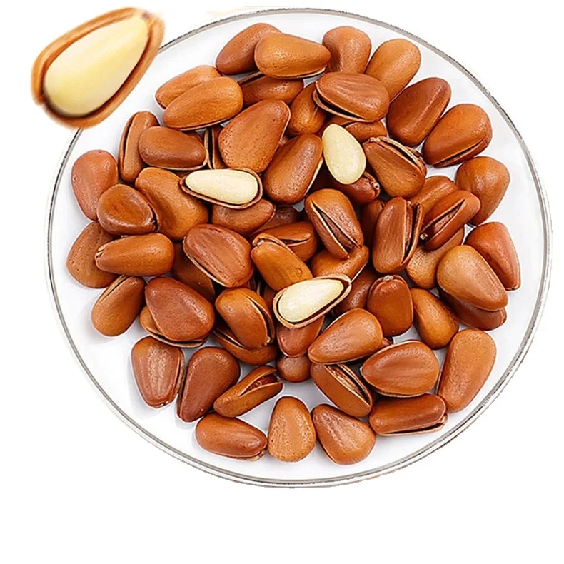 whole sale bulk price Chinese pine nuts delicious healthy snacks