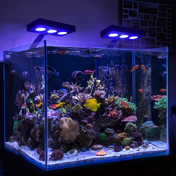 CTLite Touch Control and Dimmable 30W Self-test Smart Fan Marine LED Aquarium Light For Coral Reef Tank