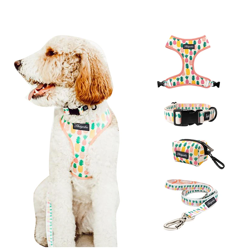 Модный дизайнерский Регулируемый мягкий Регулируемый ошейник для щенка с цветочным принтом, дизайнерская Роскошная шлейка и поводок для собак