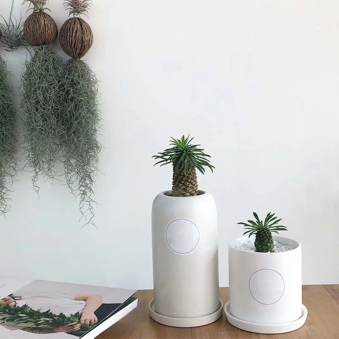 Nordic Ins Style Cheap Ceramic Flower Pots Indoor Matte Long Flowerpot