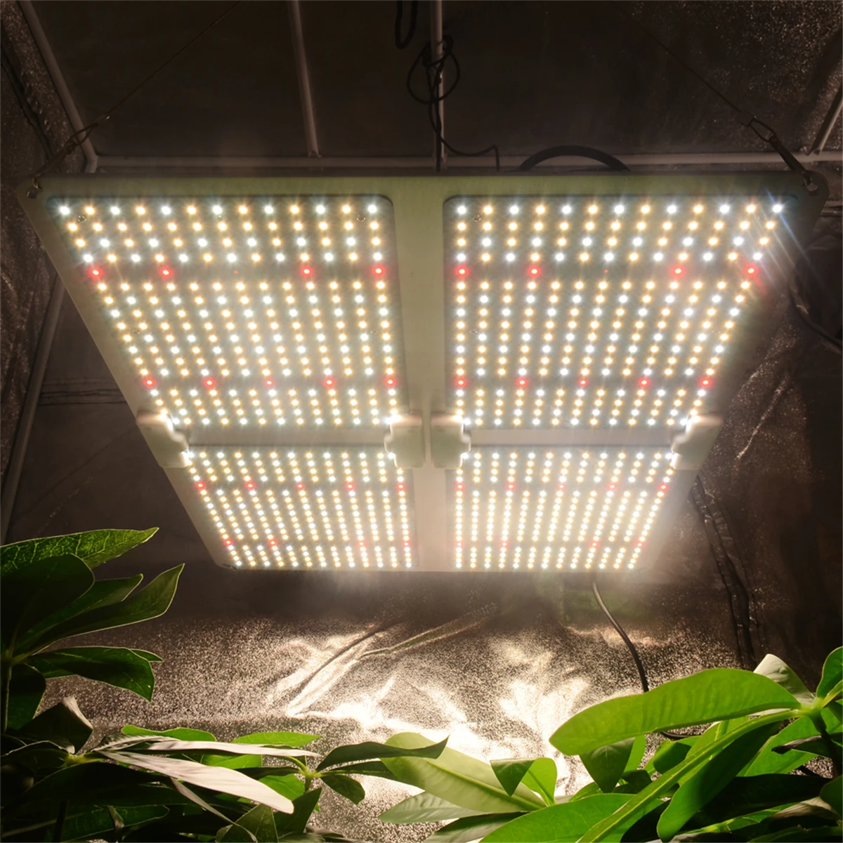 
Hot Sale High Quality Led Quantum Bord Led Grow Light 4000W Led Grow Light 