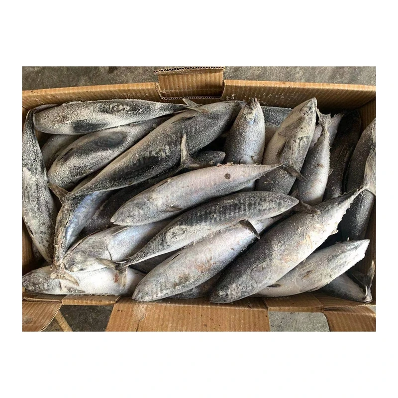 Китайский поставщик замороженных морепродуктов термо бонтос рыба замороженная