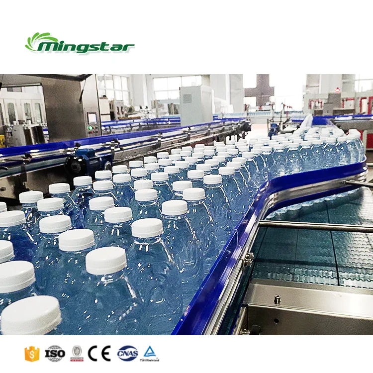 Turnkey Project A to Z production 2000-12000bph PET Bottle Table mineral water bottling plant machine equipment Cost In Nigeria