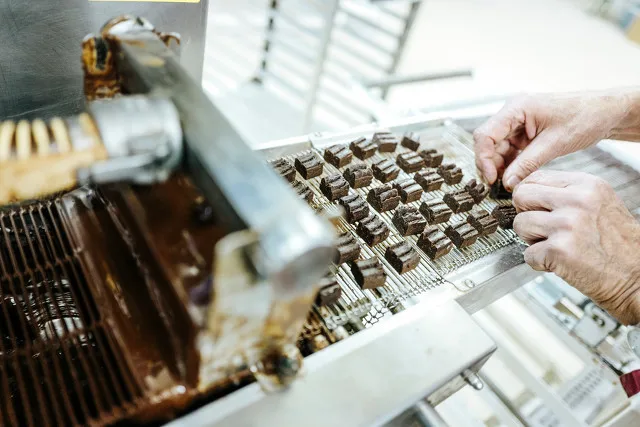 bean to bar chocolate coating machine Mini Chocolate bean making machine