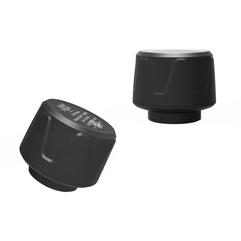 Motorbike BLE Digital TPMS Tire Pressure Monitor Tool with Android and IOS Mobile App for Universal Two Tyre