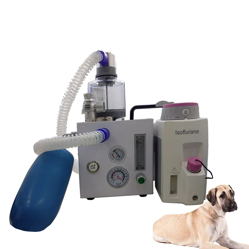 Online Shop Turkey Excellent Performance Other Veterinary Instrument Anesthesia Machine for Vet