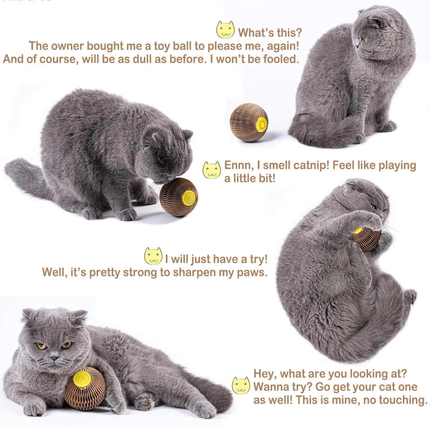 Wholesale Kitty Faithful Playmate Reduce Obesity And Loneliness Cat Scratcher Cardboard With Catnip Ball