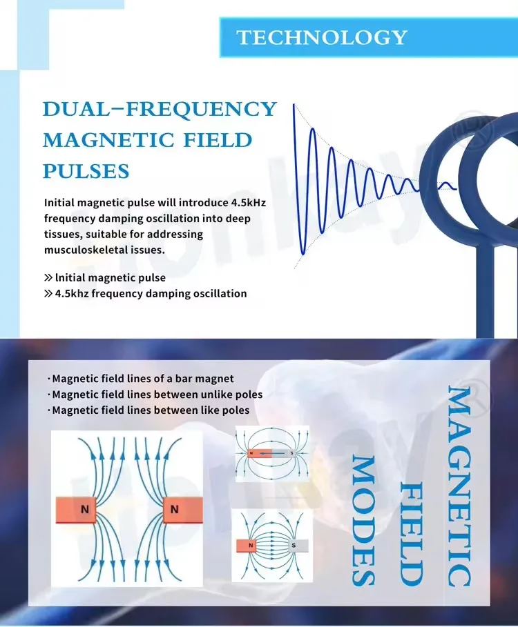 PEMF Magnetic Therapy Device 6000 Gauss High Penetrating Power PMST LOOP pro For Arthritis Sports Injuries Body Rehabilitation